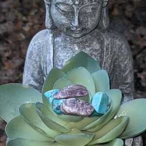 Ashland Silver Buddha Planter with Green and Pink Succulent With Crystals